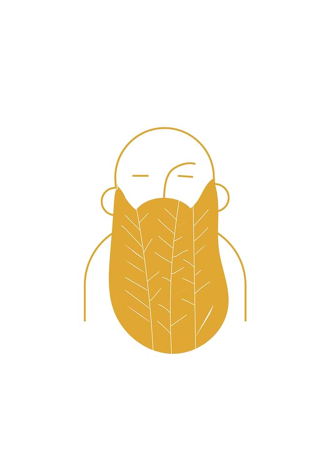 Fall Beard