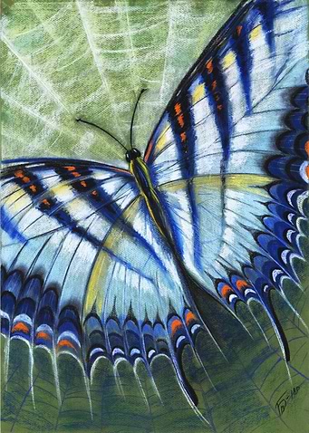 Butterfly Designs 4