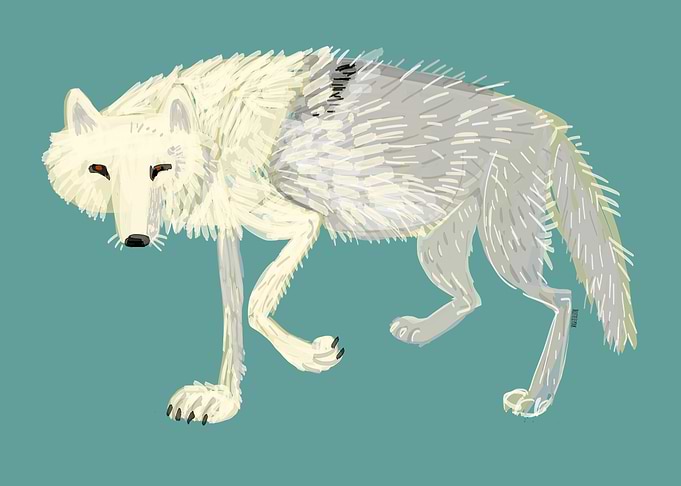 Totem Artic Wolf