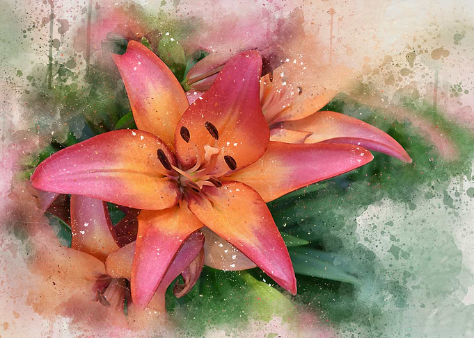 Watercolor painted
