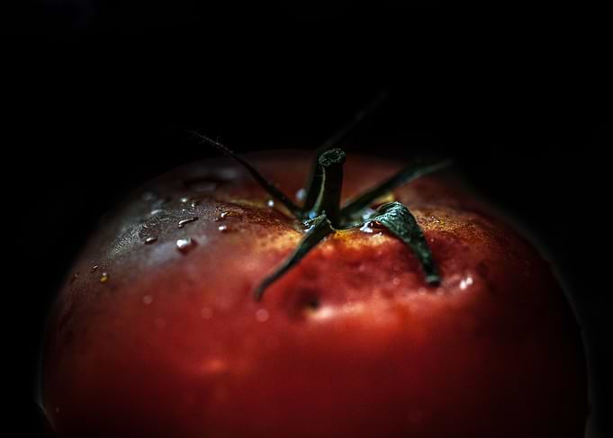 tomato