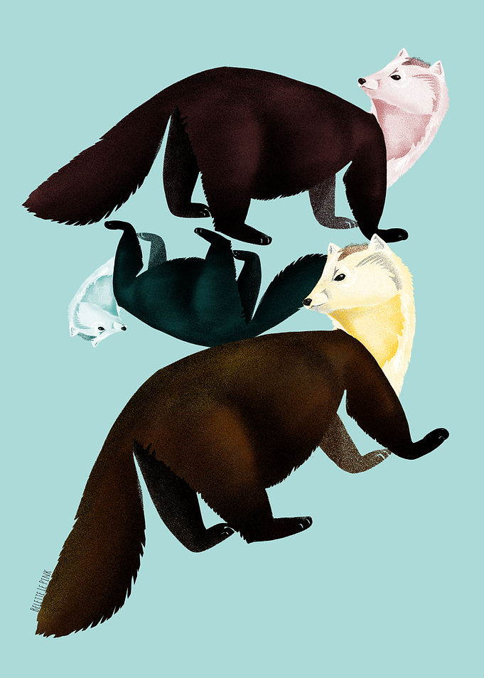 Totem Sable Marten Retro