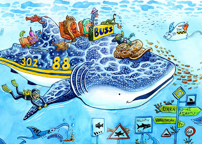 Whale shark bus driver