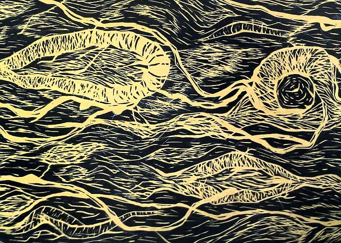 Entanglement