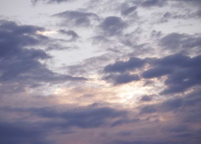 Fantastic Sky