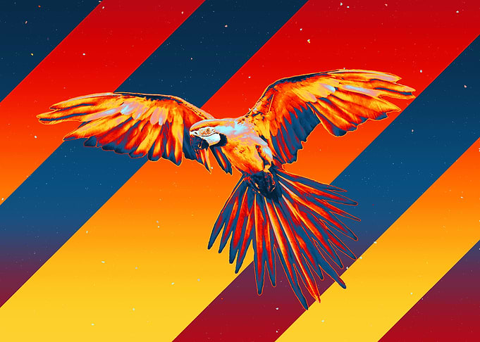 parrot