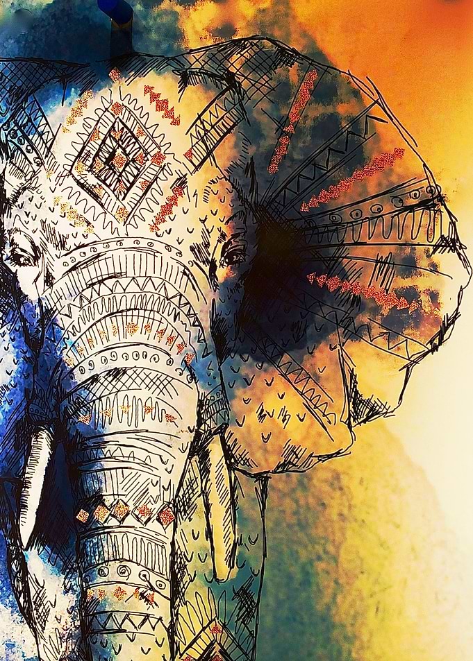 Drawing Elephant