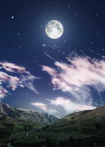 Moonlight