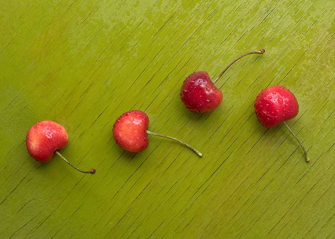Sweet sweet cherries
