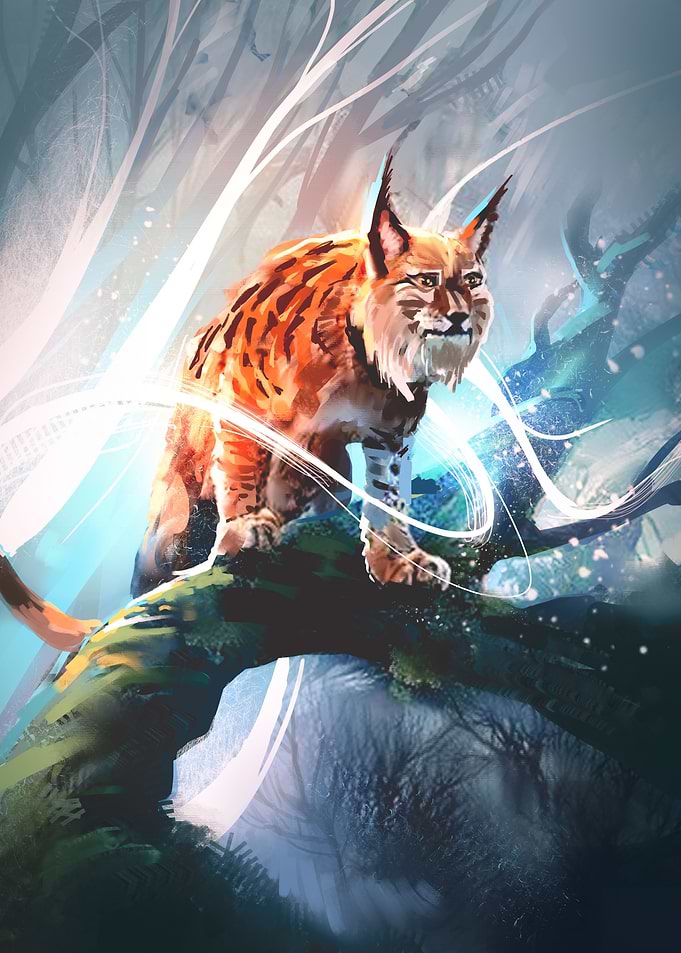 Lynx