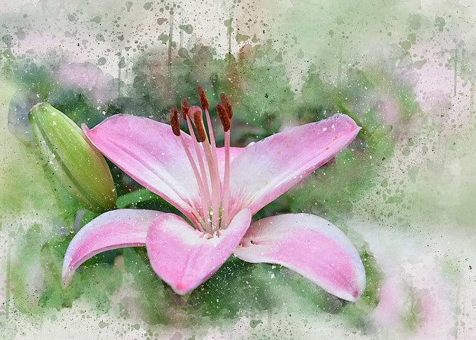 Watercolor painted