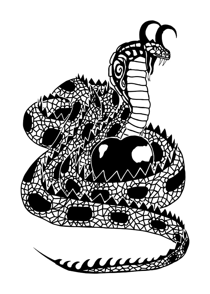 Serpent and the apple