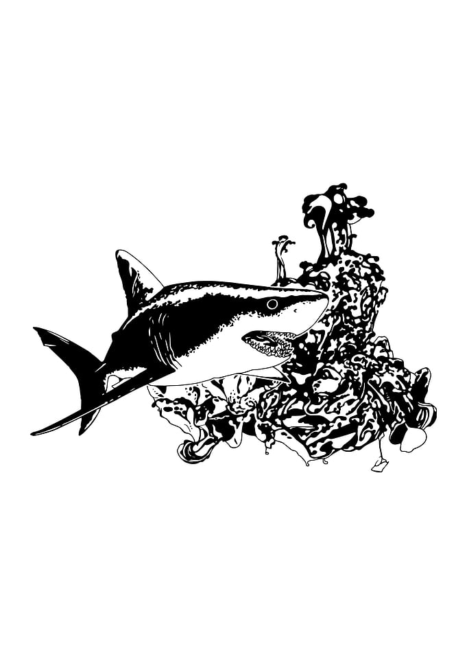 Shark