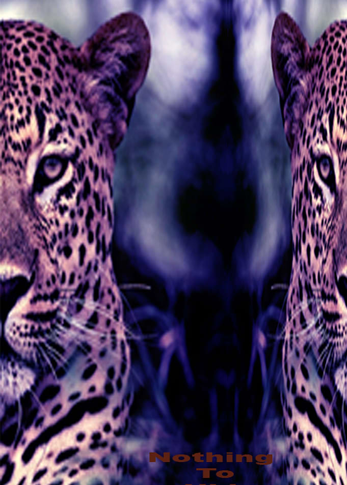 leopard