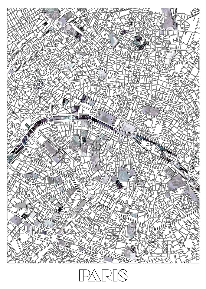 paris city map floral