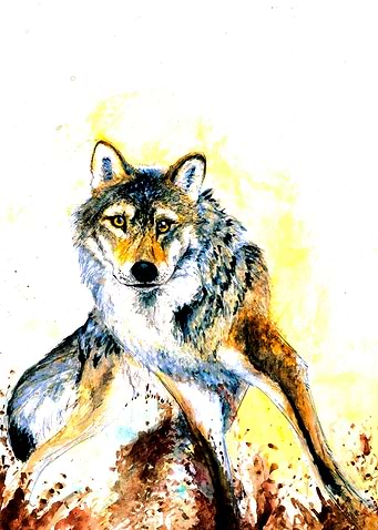 Totem Grey Wolf