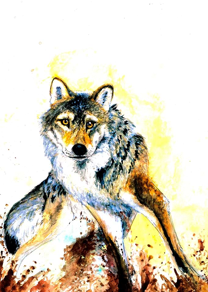 Totem Grey Wolf