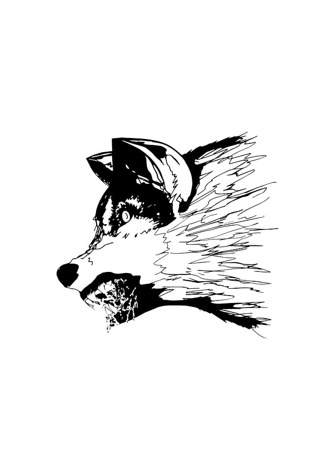 Angry Wolf