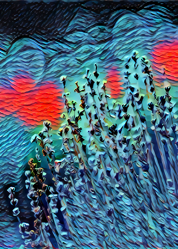 Wind