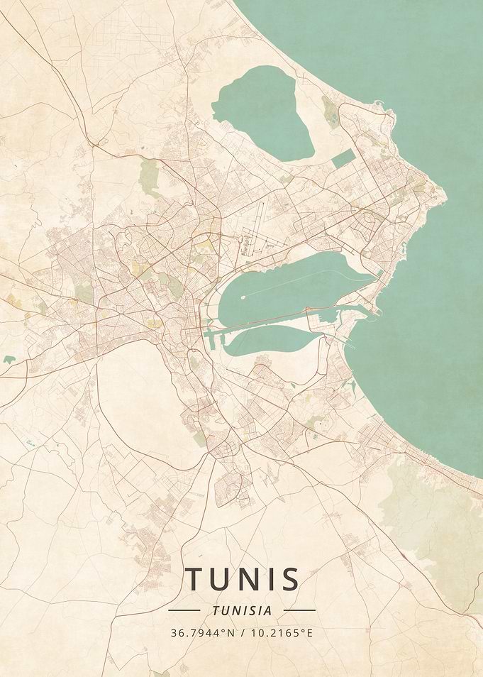 Tunis Tunisia