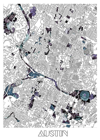 austin city map floral