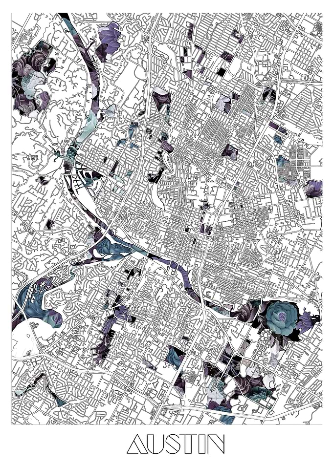 austin city map floral