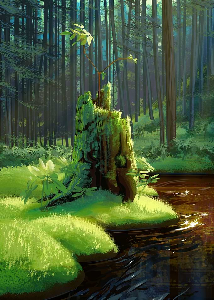 New Life