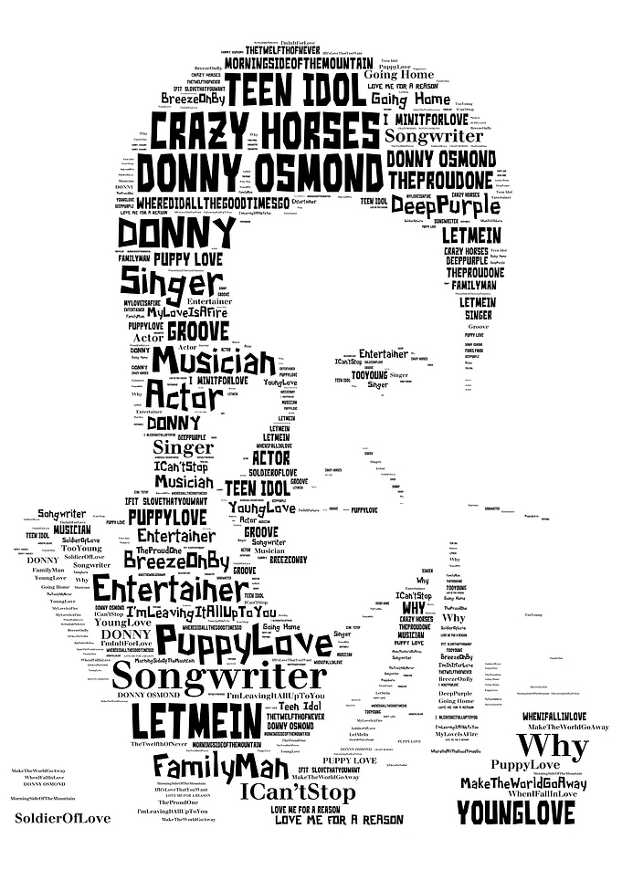 Donny Osmond Teen Idol
