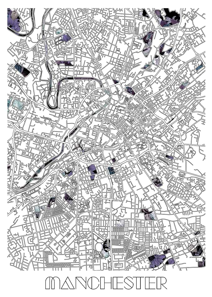manchester city map floral