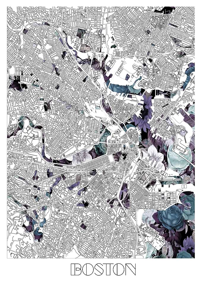 boston city map floral
