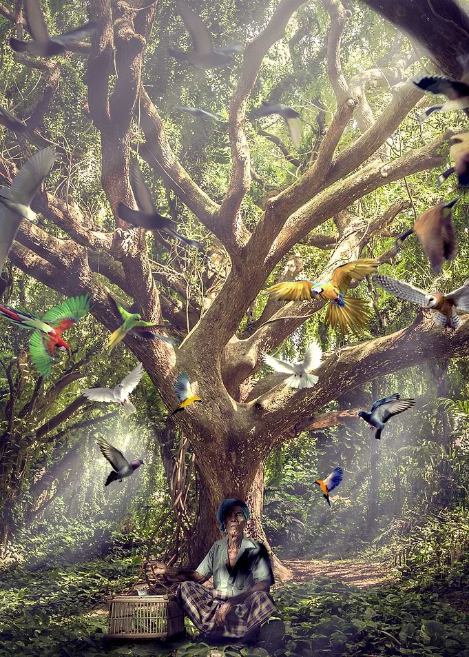 BIRD MAN