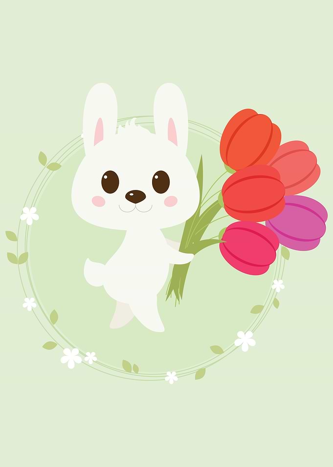 Bunny