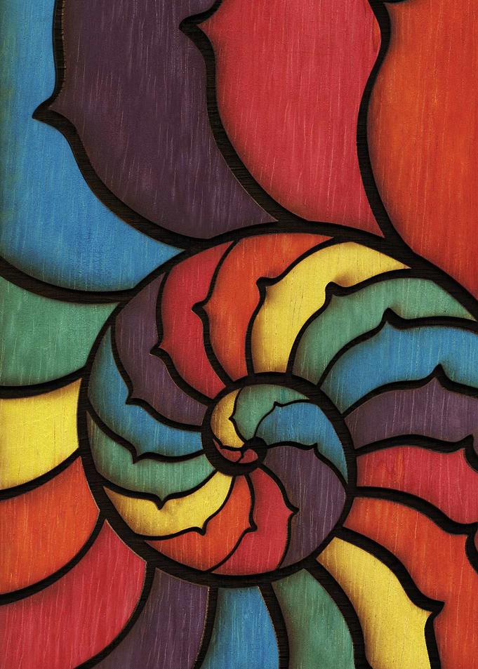 Rainbow Nautilus