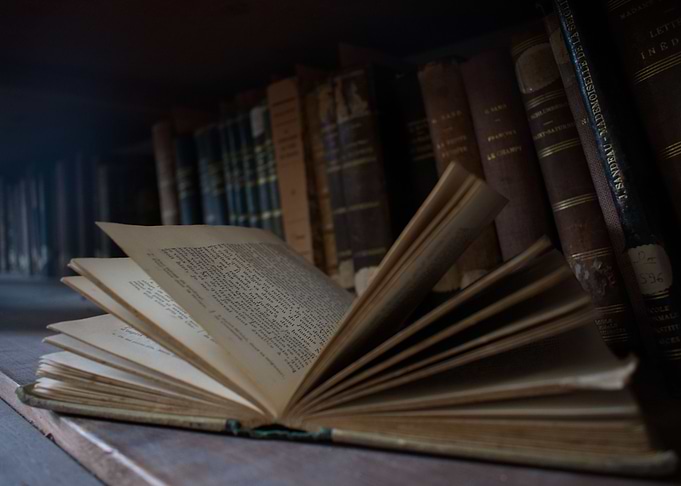 Old academic Library