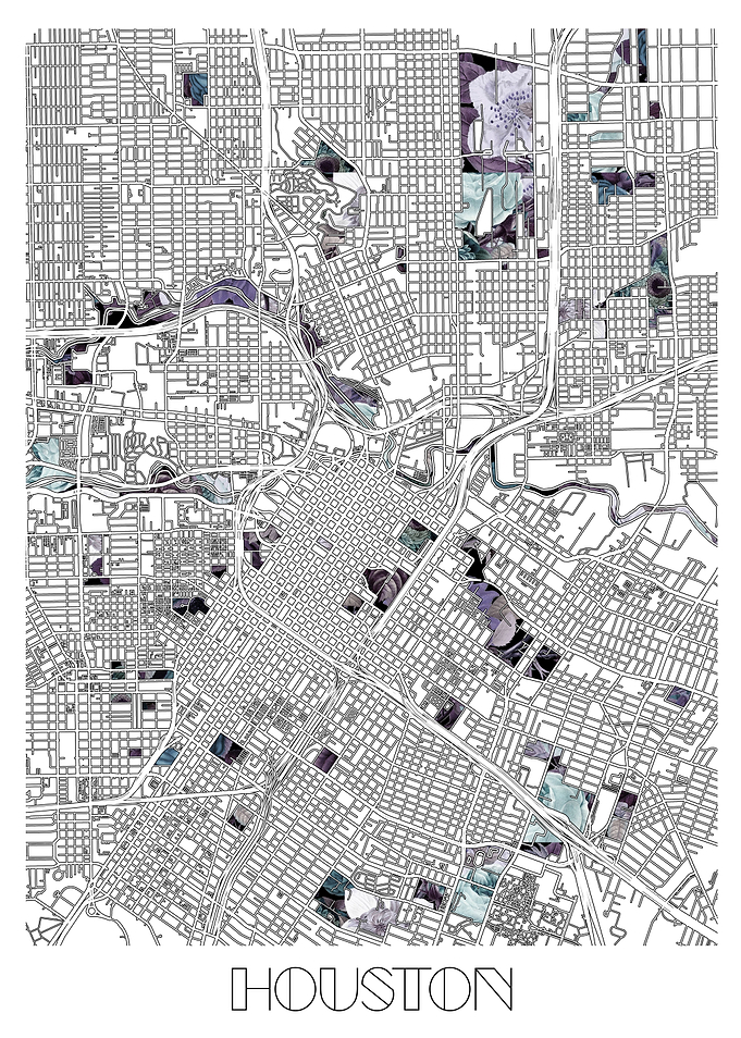 houston city map floral