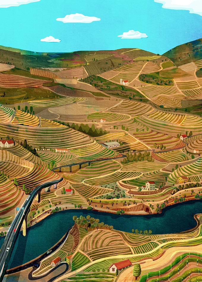 Douro Valley