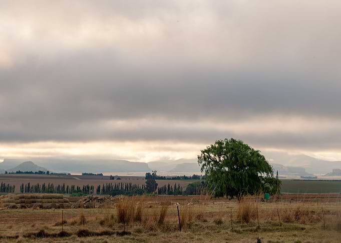 Eastern Freestate