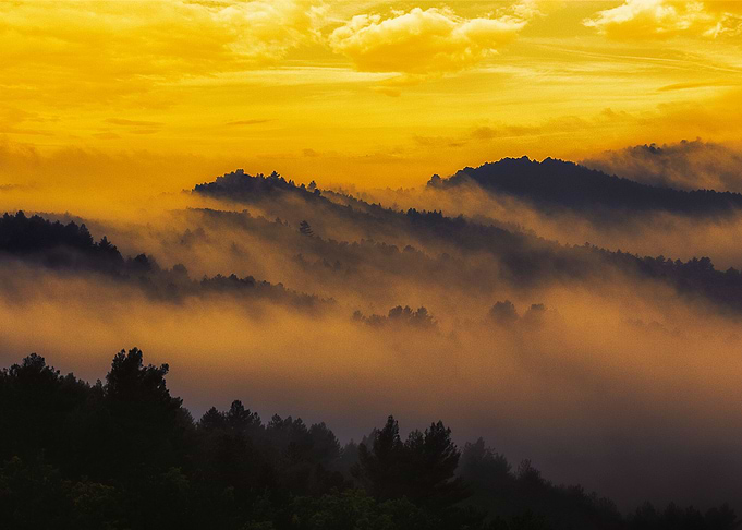 Morning fog