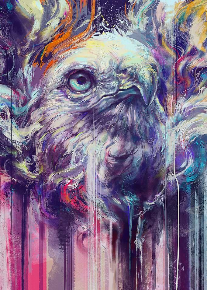 Wild Hues