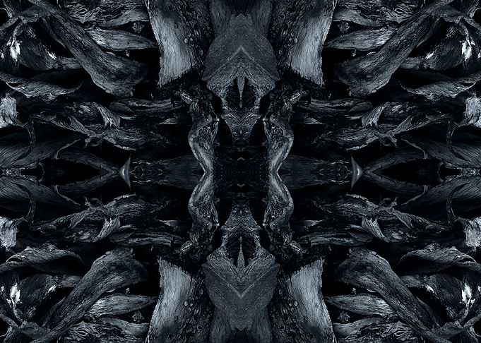 The age grey4