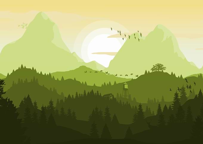 Green Mountain Landscape