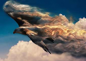 vanishing eagle