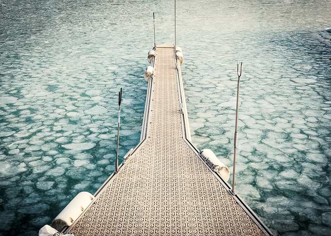 The harbour