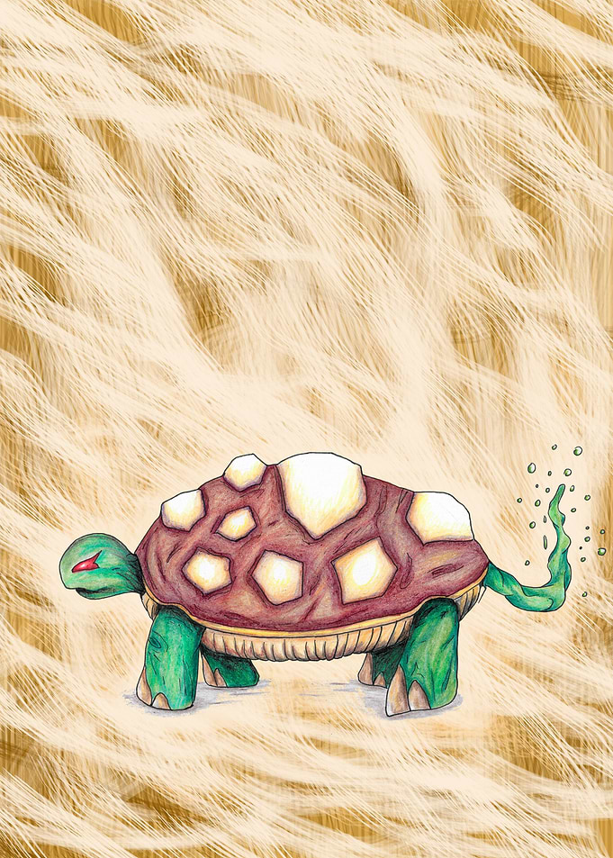 Turtle Enigma