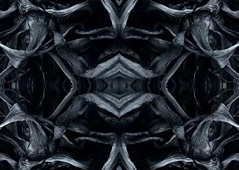 The age grey