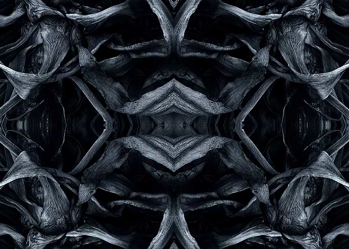 The age grey