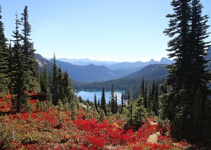 autumn in the PNW