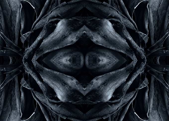 The age grey8