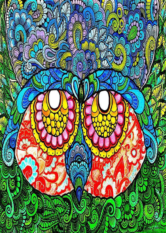 44 owl eyes 1