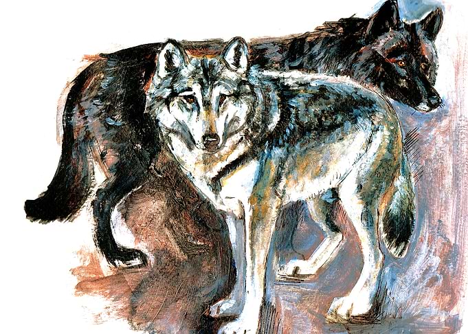 Totem timber Wolf